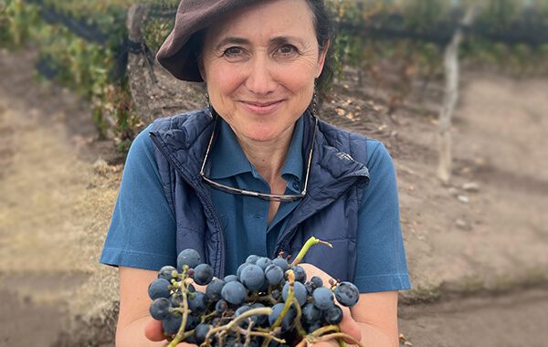 hand cutting grapes closeup