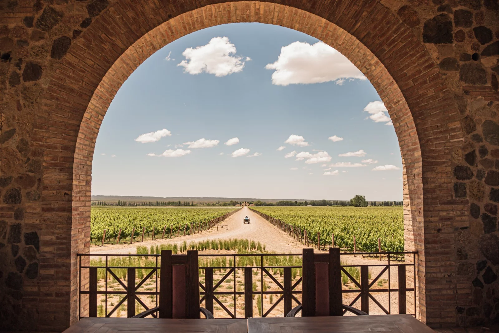 WINE MEDITATION AND CELTIC ASTROLOGY EXPERIENCE